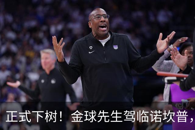 正式下树！金球先生驾临诺坎普，巴萨中场迎来终极拼图