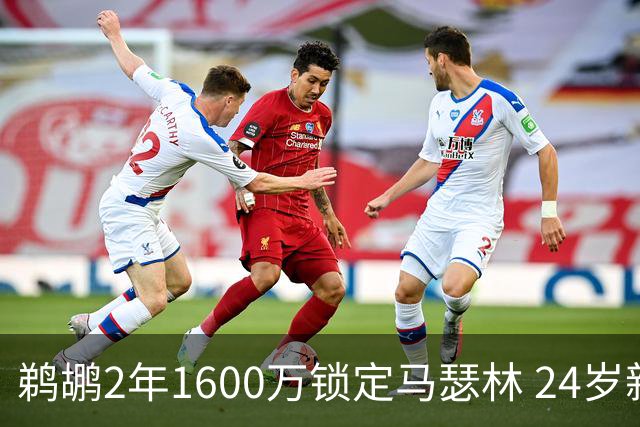 鹈鹕2年1600万锁定马瑟林 24岁新星加盟难掩多人未来存疑